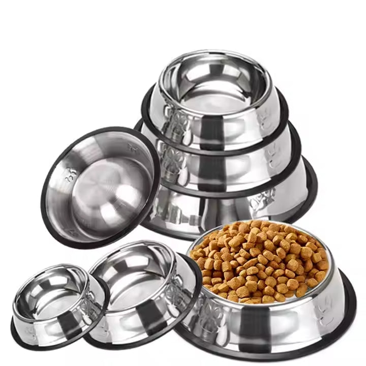 Comedero plato para perros y gatos – Altura correcta · Bogotá Express