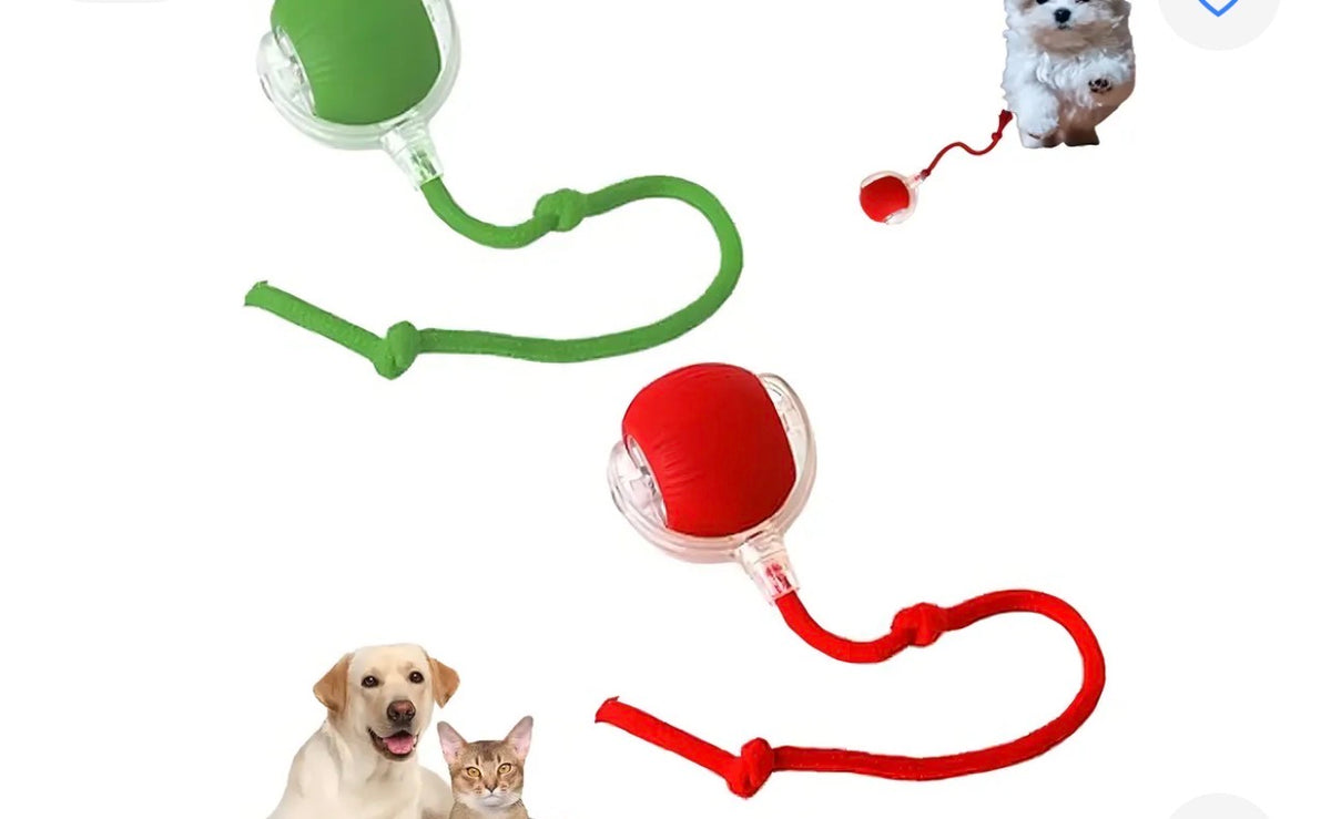 Juguete gato interactivo cola – Movimiento real · Bogotá Express