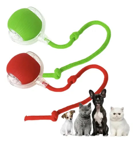 Combo mascota guante y pelota – Juego y cepillado · Bogotá Express