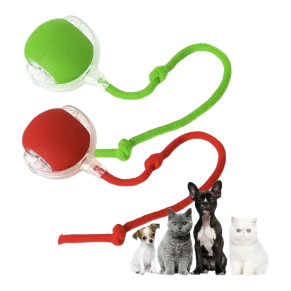 Combo mascota guante y pelota – Juego y cepillado · Bogotá Express