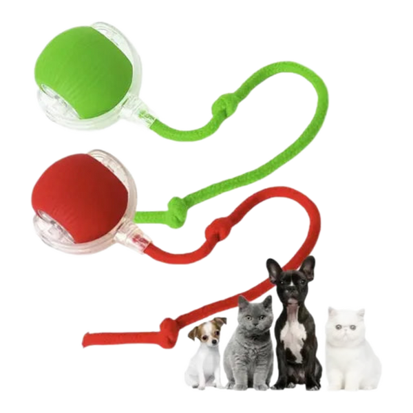 Combo mascota guante y pelota – Juego y cepillado · Bogotá Express